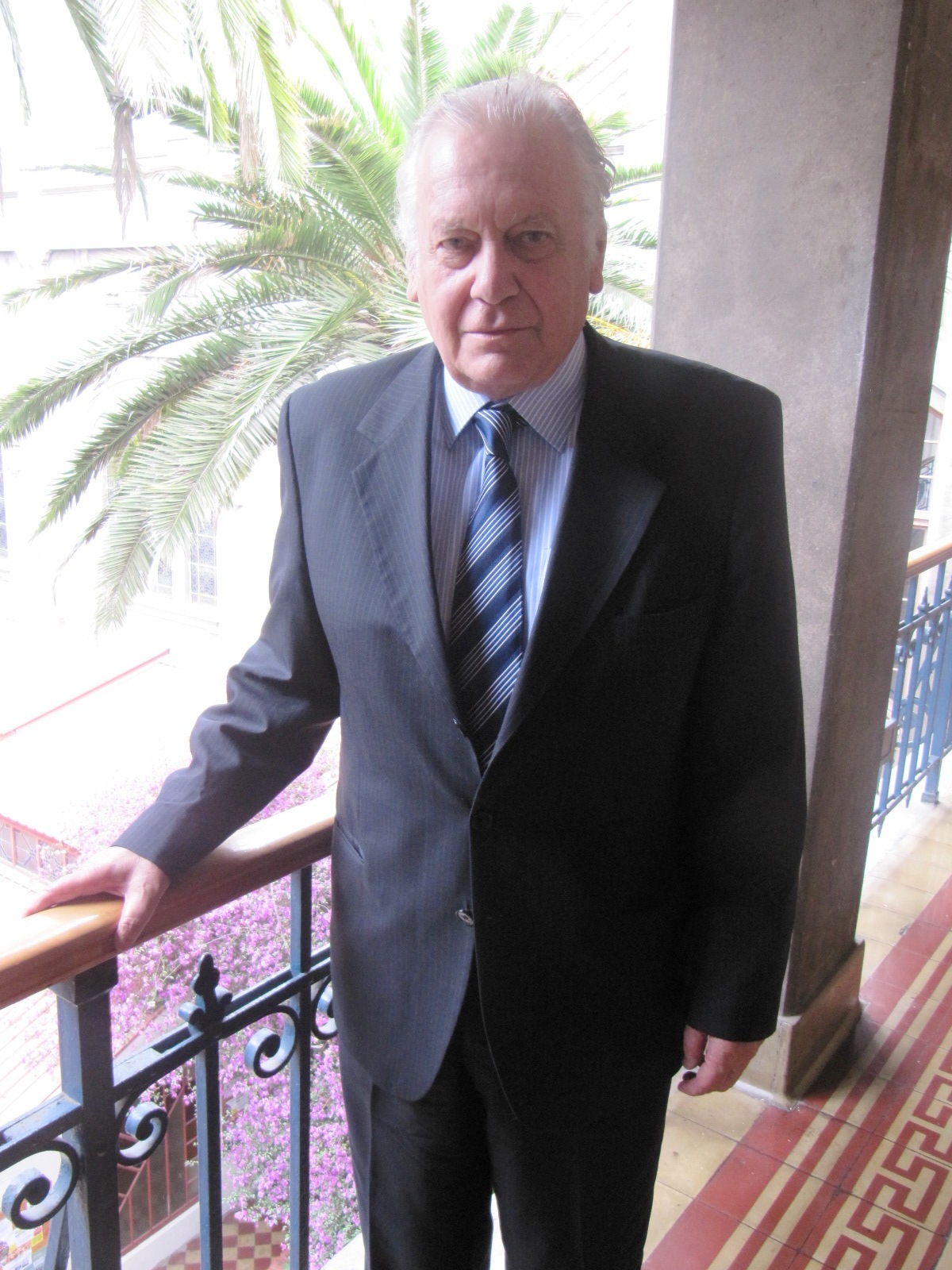Raúl Allard Neumann Centro de Estudios y Asistencia Legislativa PUCV