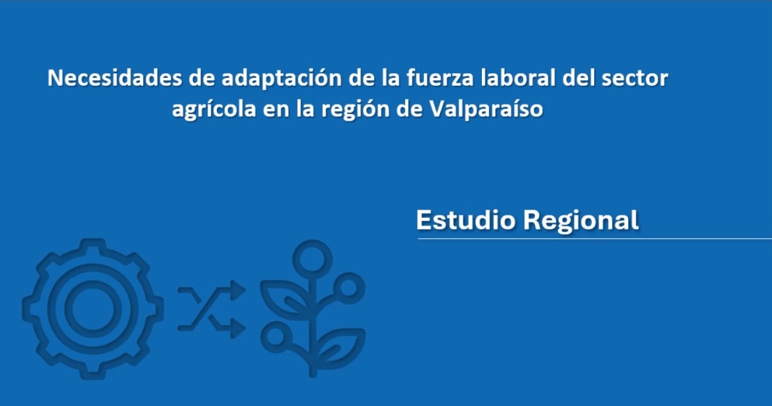 Observatorio Laboral de Valparaíso participa en el Comité Gestor “Capital Social y Desarrollo Humano”